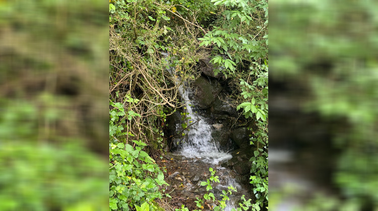 Ma-Cabane - Vente Maison Borce, 90 m²