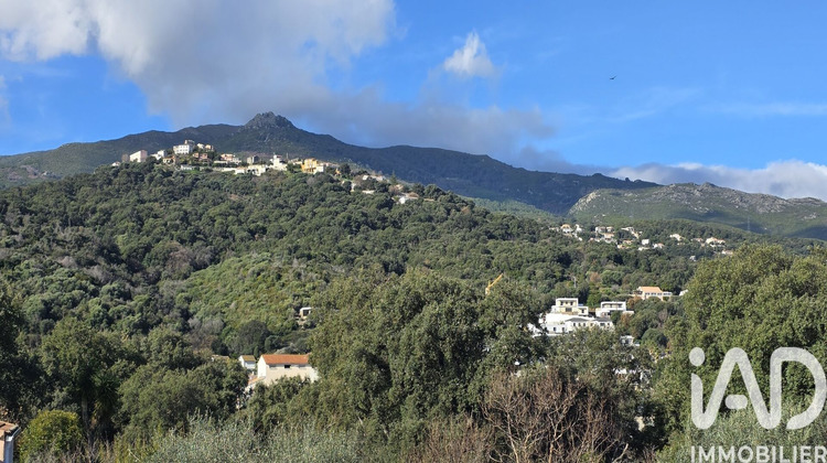 Ma-Cabane - Vente Maison Borgo, 204 m²