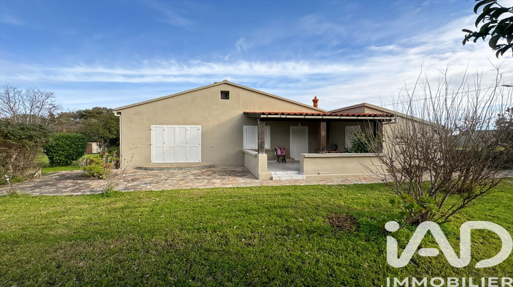 Ma-Cabane - Vente Maison Borgo, 171 m²