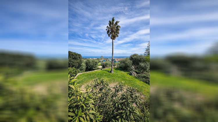 Ma-Cabane - Vente Maison Borgo, 196 m²
