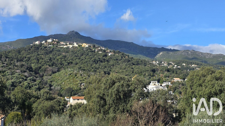 Ma-Cabane - Vente Maison Borgo, 204 m²