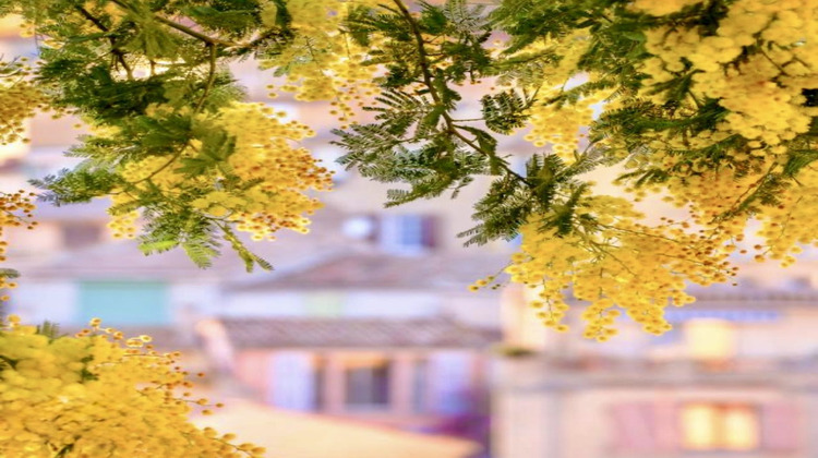 Ma-Cabane - Vente Maison Bormes-les-Mimosas, 88 m²