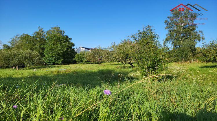 Ma-Cabane - Vente Maison Boulay-Moselle, 240 m²