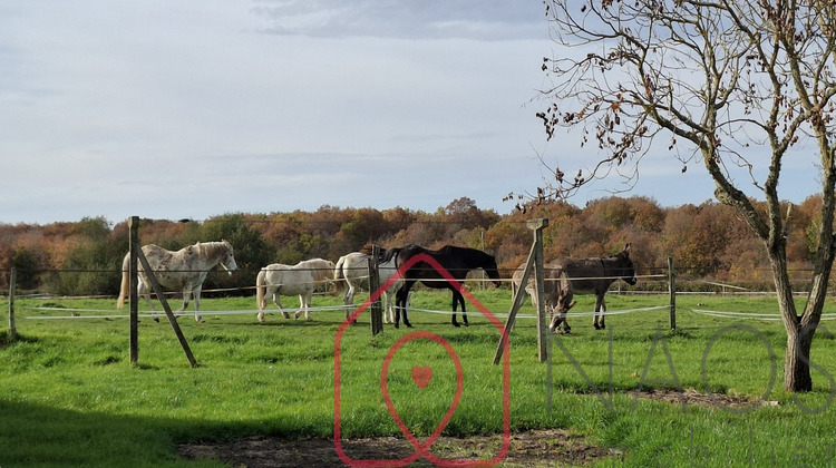 Ma-Cabane - Vente Maison BOULLERET, 284 m²