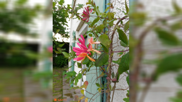 Ma-Cabane - Vente Maison Bourg-la-Reine, 216 m²