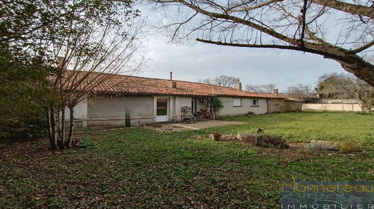 Ma-Cabane - Vente Maison Bran, 239 m²