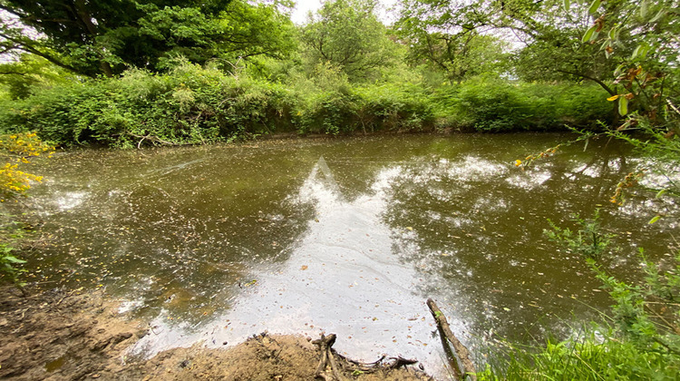 Ma-Cabane - Vente Maison BRAY-EN-VAL, 305 m²