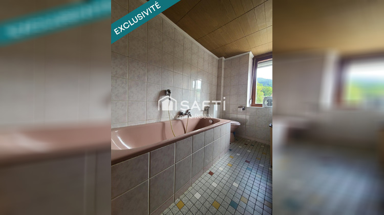 Ma-Cabane - Vente Maison Breitenbach, 171 m²