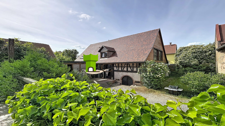 Ma-Cabane - Vente Maison Breuschwickersheim, 470 m²