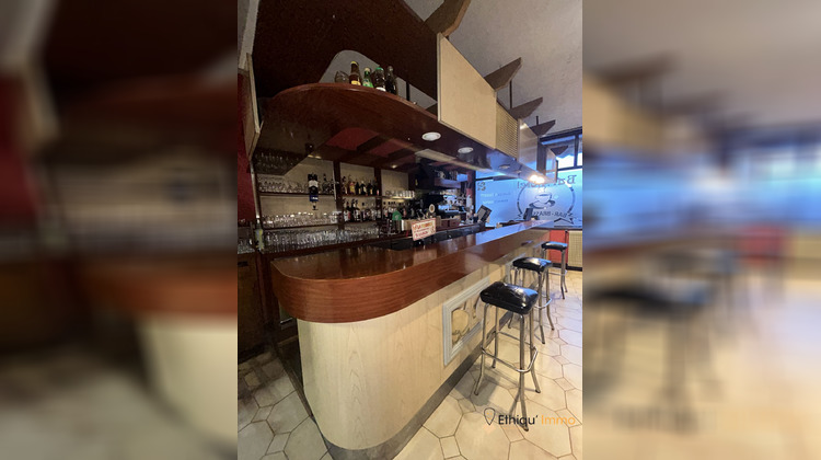 Ma-Cabane - Vente Maison Brienne-le-Château, 700 m²