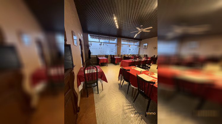 Ma-Cabane - Vente Maison Brienne-le-Château, 700 m²