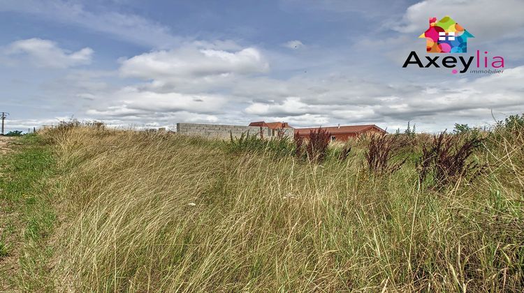 Ma-Cabane - Vente Maison Briennon, 150 m²