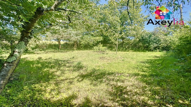 Ma-Cabane - Vente Maison Briennon, 205 m²