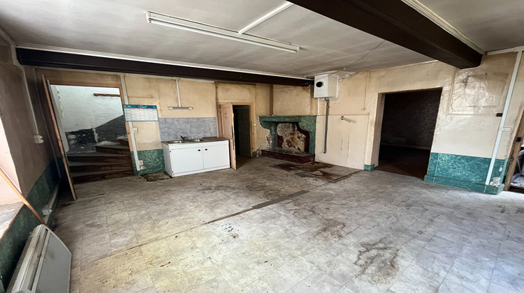 Ma-Cabane - Vente Maison BRINDAS, 200 m²