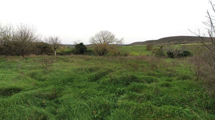 Ma-Cabane - Vente Maison Brinon-sur-Sauldre, 150 m²