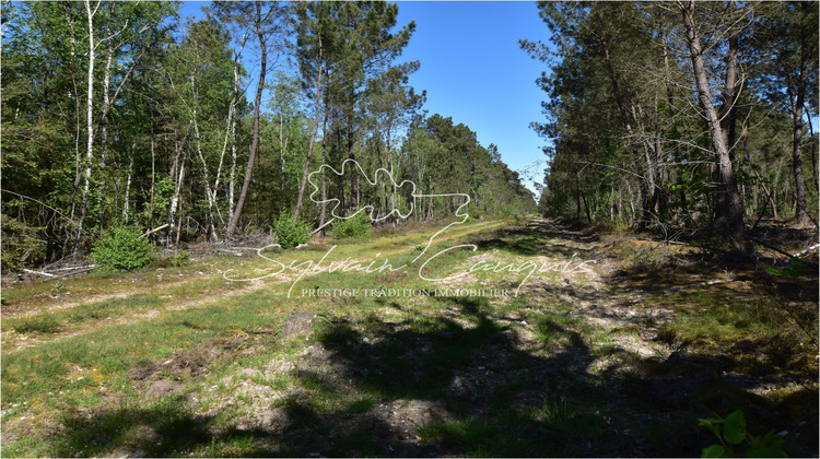 Ma-Cabane - Vente Maison BRINON SUR SAULDRE, 1 m²