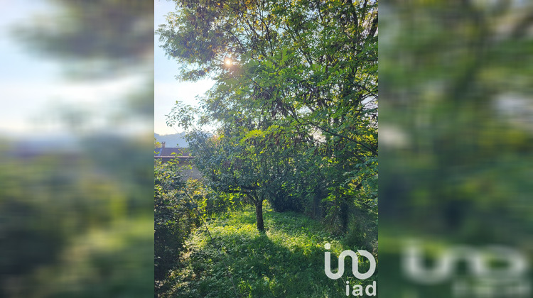 Ma-Cabane - Vente Maison Briord, 250 m²