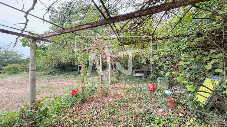 Ma-Cabane - Vente Maison BRISSAC-QUINCE, 300 m²