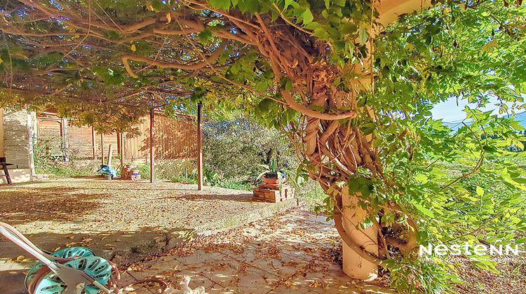 Ma-Cabane - Vente Maison BROUILLA, 134 m²