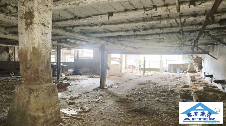 Ma-Cabane - Vente Maison Brouville, 300 m²