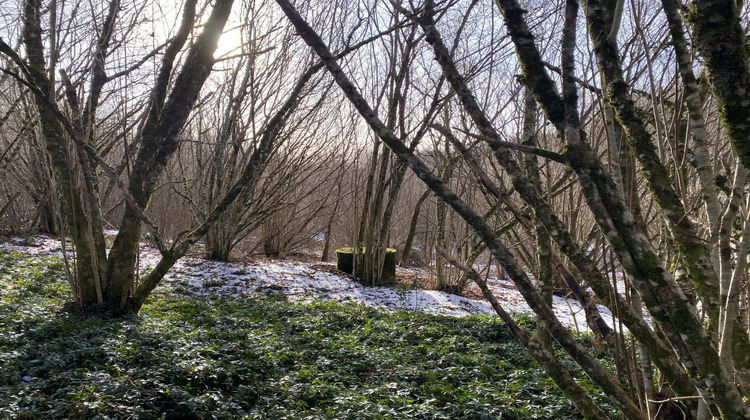 Ma-Cabane - Vente Maison Bugeat, 120 m²