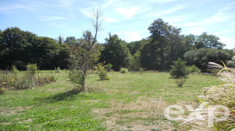 Ma-Cabane - Vente Maison Busserolles, 219 m²