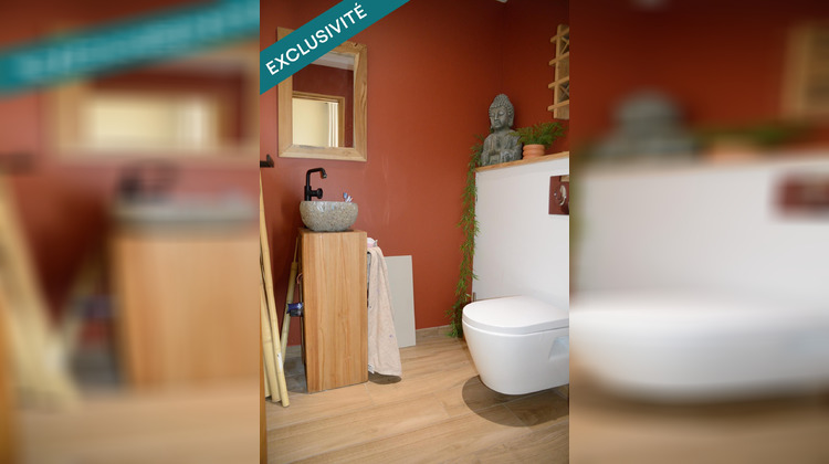 Ma-Cabane - Vente Maison Buysscheure, 240 m²