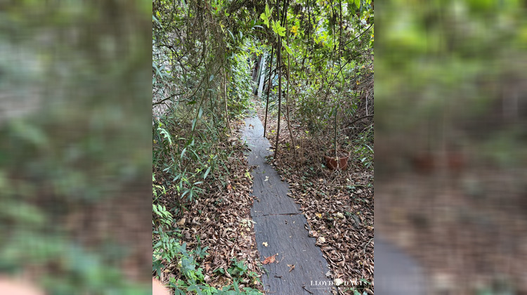 Ma-Cabane - Vente Maison Cachan, 405 m²