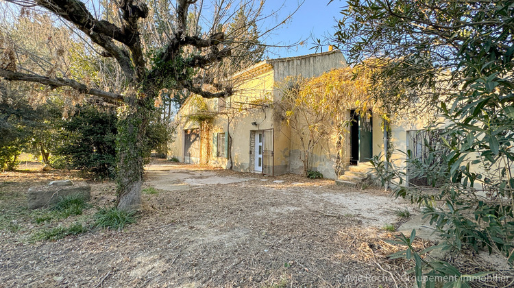 Ma-Cabane - Vente Maison Caderousse, 250 m²