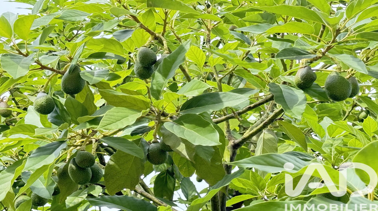 Ma-Cabane - Vente Maison Cagnes-sur-Mer, 187 m²