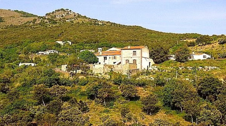 Ma-Cabane - Vente Maison Caixas, 302 m²