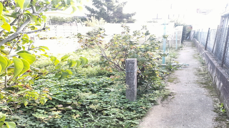 Ma-Cabane - Vente Maison Calais, 100 m²