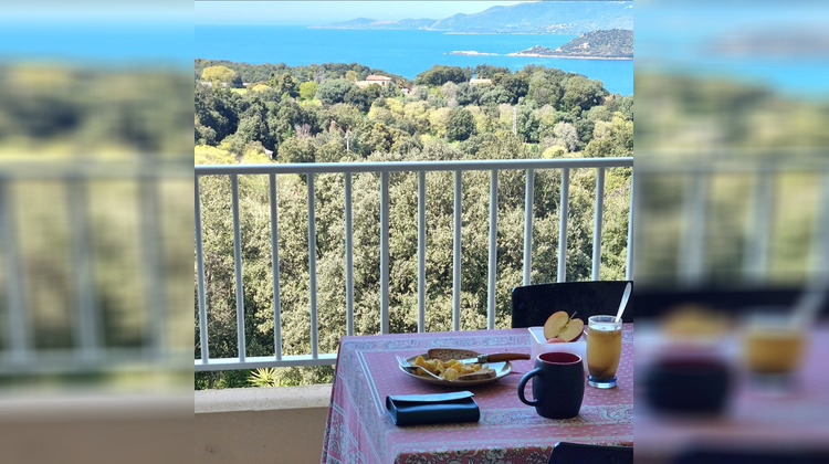 Ma-Cabane - Vente Maison Calcatoggio, 270 m²