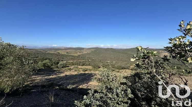 Ma-Cabane - Vente Maison Calce, 550 m²