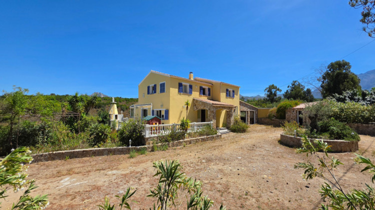 Ma-Cabane - Vente Maison CALENZANA, 305 m²