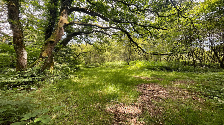 Ma-Cabane - Vente Maison CALLAC, 130 m²