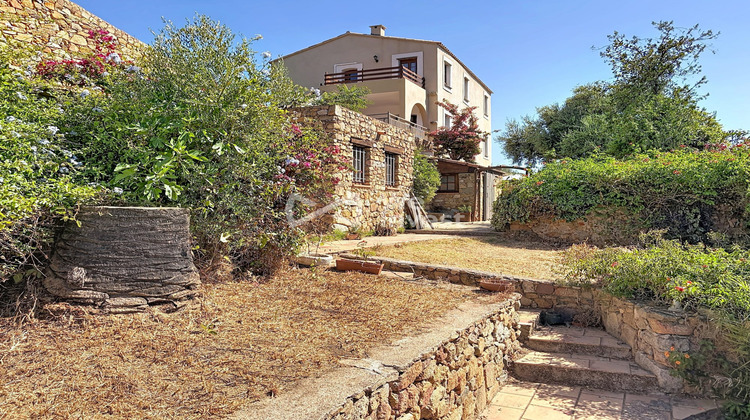 Ma-Cabane - Vente Maison Calvi, 443 m²