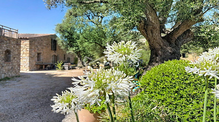 Ma-Cabane - Vente Maison Calvi, 443 m²