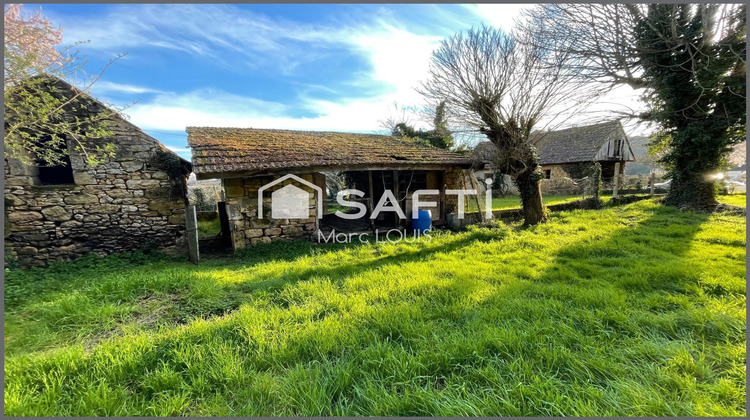 Ma-Cabane - Vente Maison Calviac-en-Perigord, 263 m²