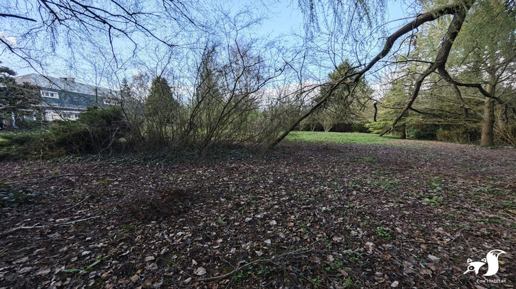Ma-Cabane - Vente Maison Cambrai, 321 m²