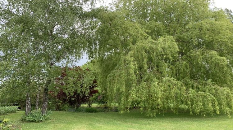 Ma-Cabane - Vente Maison Cambremer, 185 m²