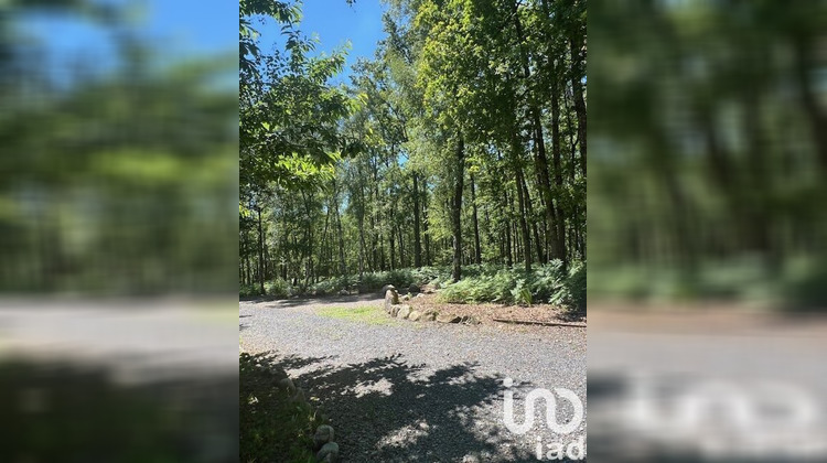 Ma-Cabane - Vente Maison Camps-Saint-Mathurin-Léobazel, 200 m²