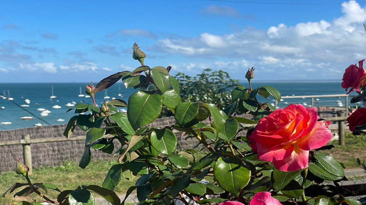 Ma-Cabane - Vente Maison CANCALE, 80 m²