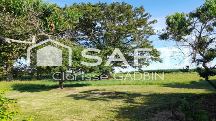 Ma-Cabane - Vente Maison Carbay, 223 m²