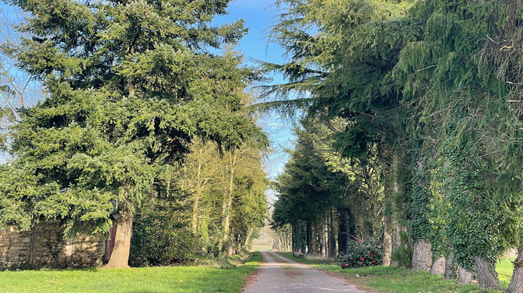 Ma-Cabane - Vente Maison CARENTOIR, 1020 m²