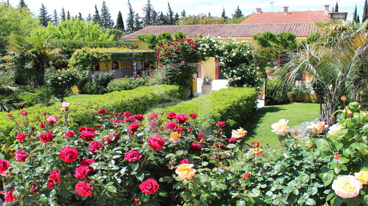 Ma-Cabane - Vente Maison Carpentras, 461 m²