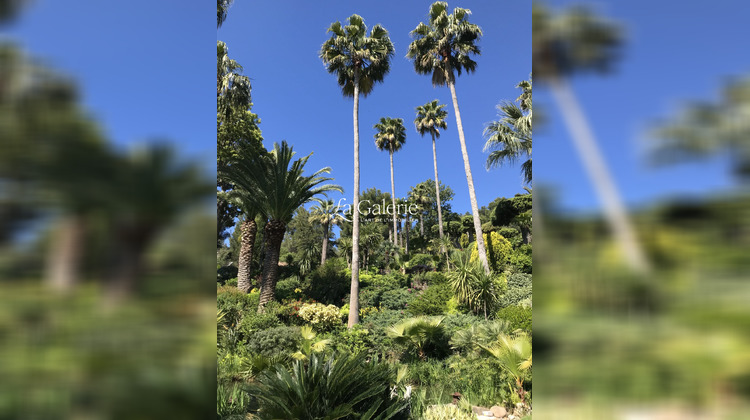 Ma-Cabane - Vente Maison Carqueiranne, 360 m²