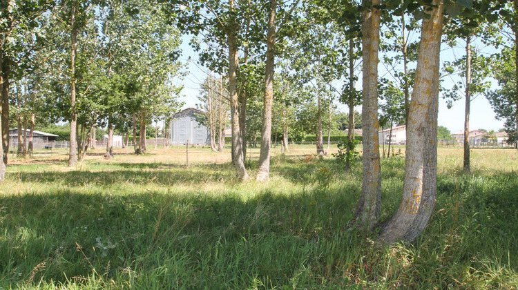 Ma-Cabane - Vente Maison CASTELJALOUX, 83 m²