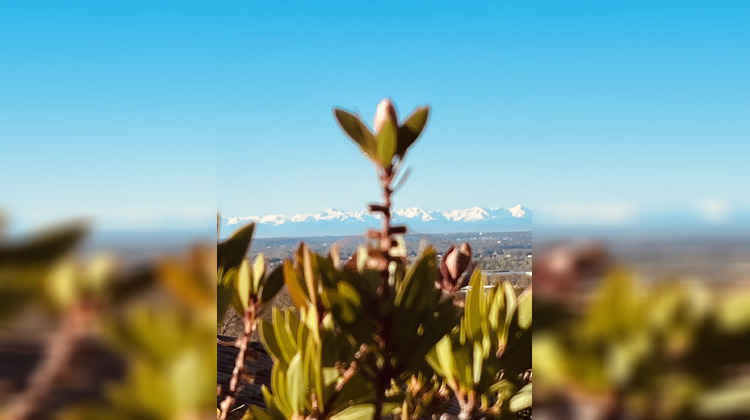 Ma-Cabane - Vente Maison Castelnau-d'Estrétefonds, 190 m²