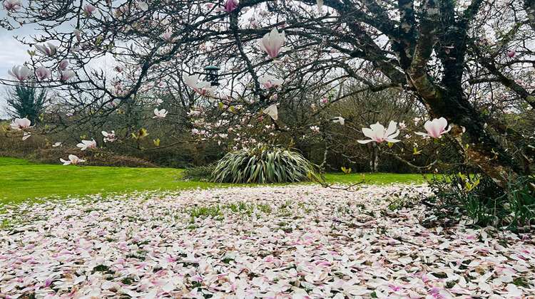 Ma-Cabane - Vente Maison CAUDAN, 93 m²
